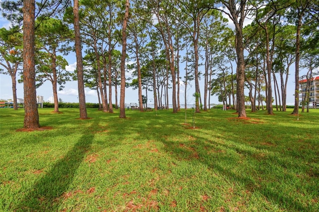 2700 Bayshore Blvd Unit 3108, Dunedin, FL 34698 - photo 51
