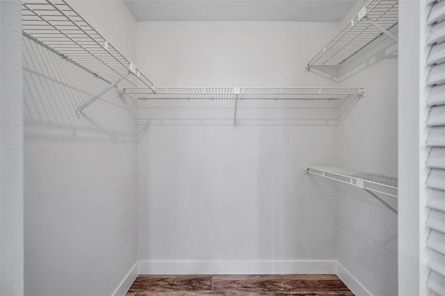 spacious closet featuring hardwood / wood-style floors