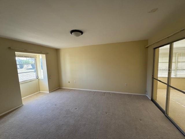 unfurnished room featuring carpet