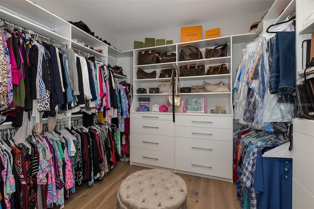 walk in closet featuring wood-type flooring