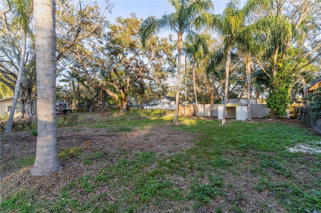 view of yard with a storage unit