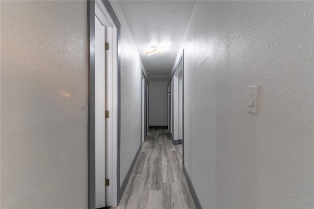 corridor featuring light hardwood / wood-style flooring