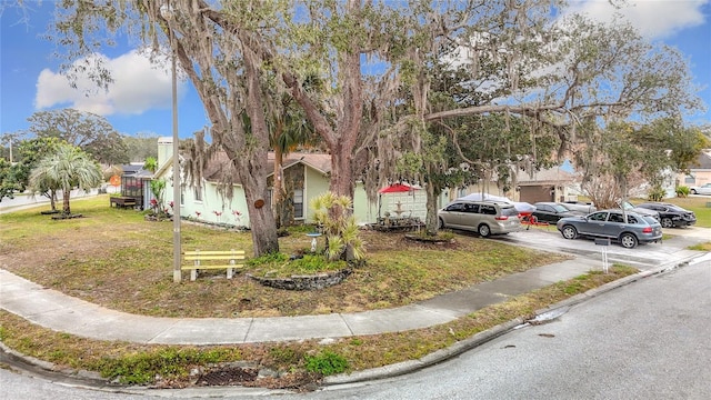 view of property hidden behind natural elements with a front lawn