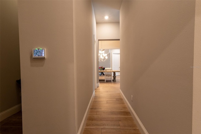 corridor with wood-type flooring