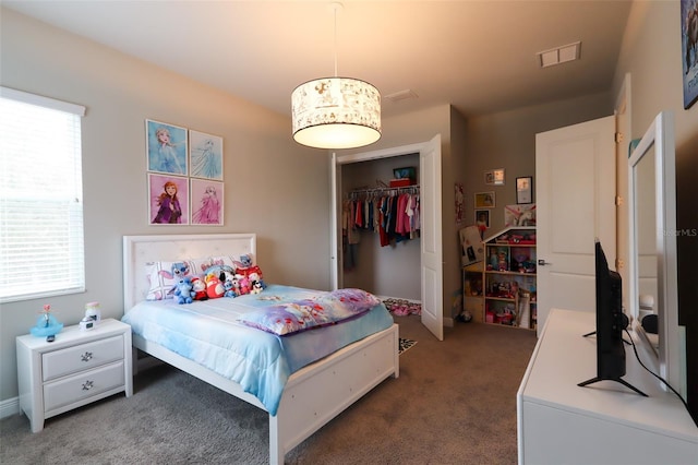 bedroom with a closet, carpet, and multiple windows