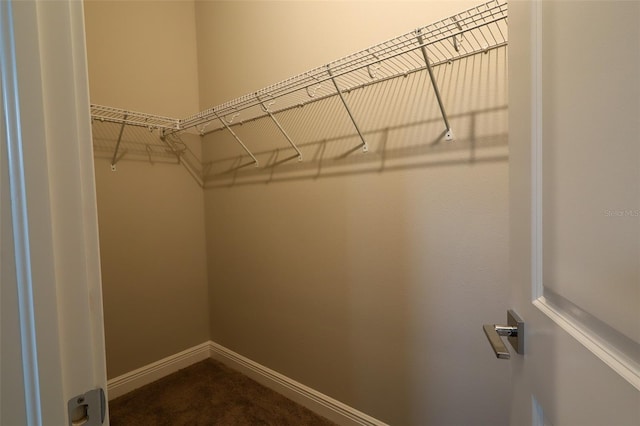 spacious closet featuring dark colored carpet