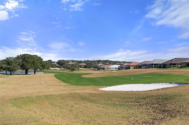 view of community with a yard