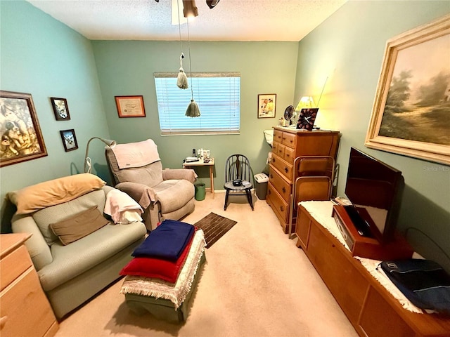 sitting room featuring light colored carpet and a textured ceiling