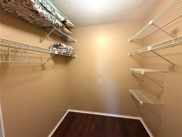 spacious closet featuring wood-type flooring