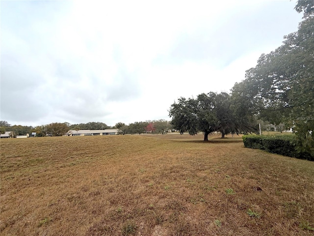 view of yard with a rural view