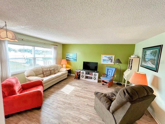 living room with a textured ceiling and wood-type flooring