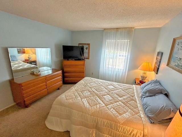 bedroom with carpet floors and a textured ceiling