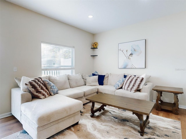 living room with wood-type flooring