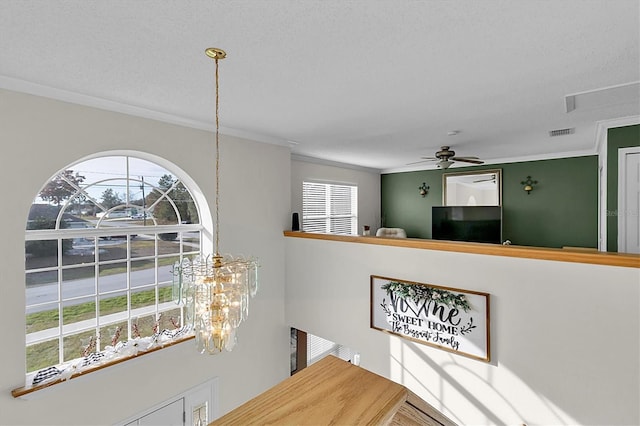 4332 Lamson Ave, Spring Hill, FL 34608 - photo 24