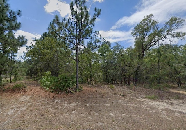 3 Elder Ct W, Homosassa FL, 34446 land for sale