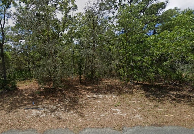 6 Elder Dr, Homosassa FL, 34446 land for sale