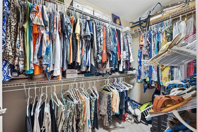 spacious closet featuring carpet