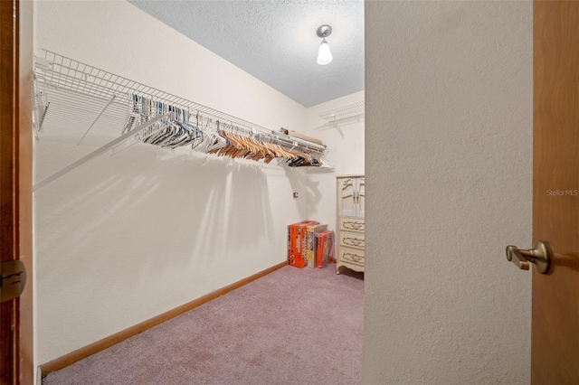 spacious closet with carpet flooring