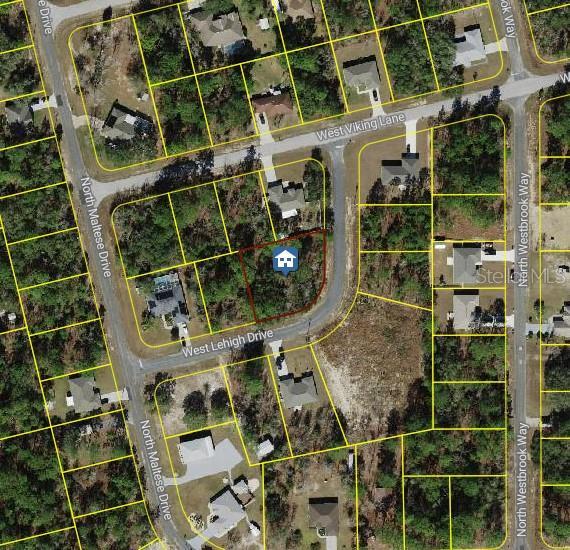 3309 W Lehigh Dr, Citrus Springs FL, 34433 land for sale