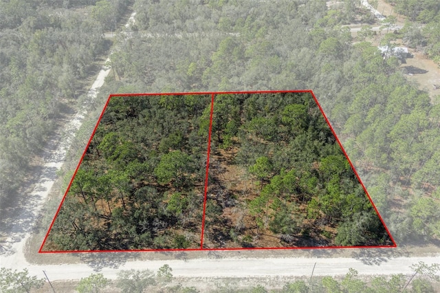 00 Norway St, Webster FL, 33597 land for sale