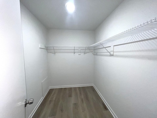 spacious closet with dark wood-type flooring