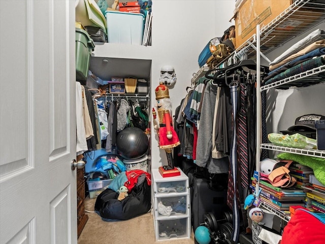 spacious closet featuring carpet floors