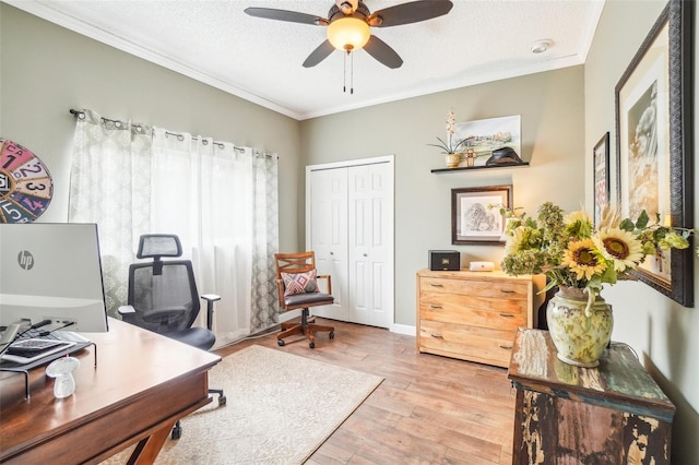 home office featuring crown molding, light hardwood / wood-style floors, and ceiling fan