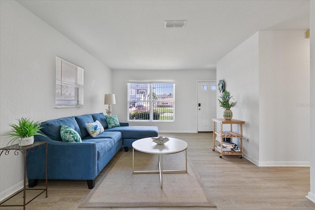 living room with light hardwood / wood-style flooring