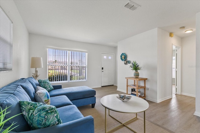 living room featuring light wood-type flooring