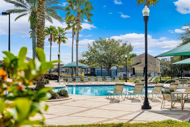 view of swimming pool with a patio area