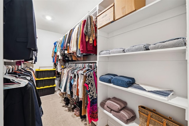 walk in closet with carpet floors