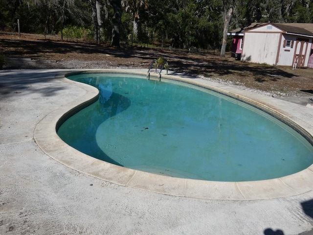 view of pool featuring a shed