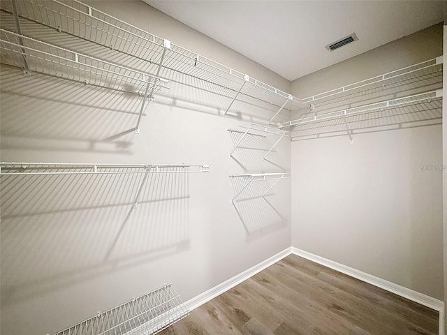 walk in closet featuring wood-type flooring