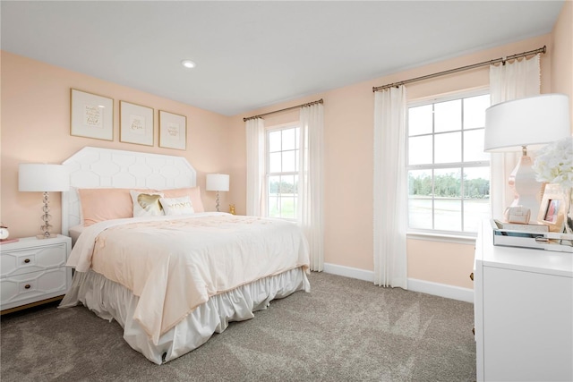 carpeted bedroom with multiple windows