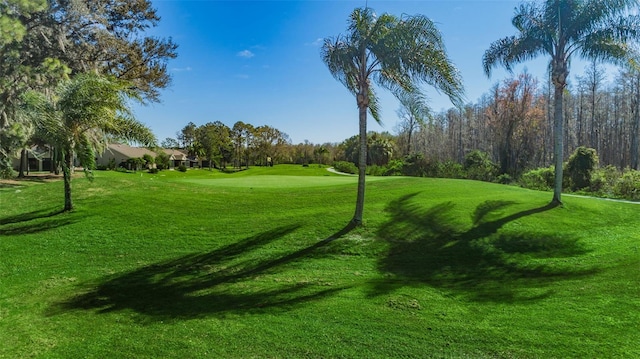 view of property's community featuring a lawn