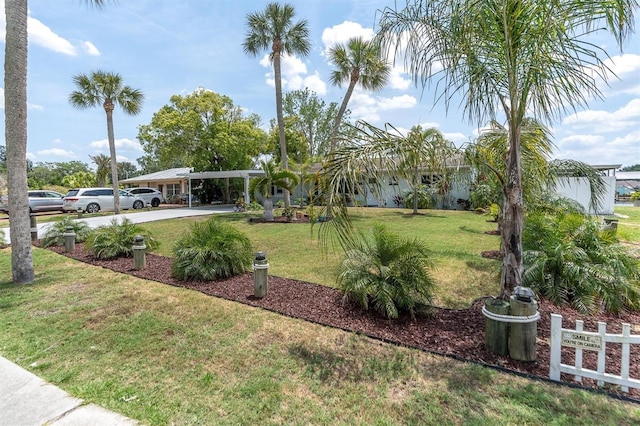 14124 Kulig Ct, Hudson, FL 34667 - view of yard featuring a carport and driveway