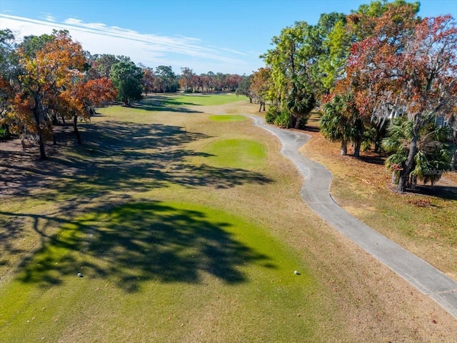 surrounding community featuring a yard