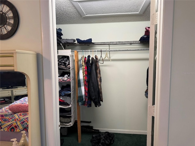 view of closet