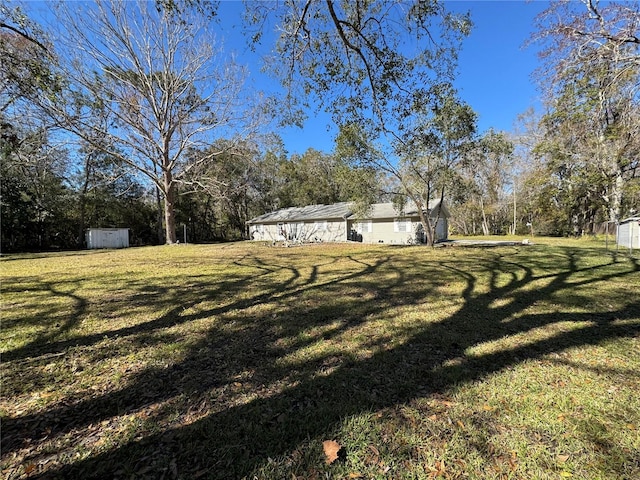 view of yard with a shed