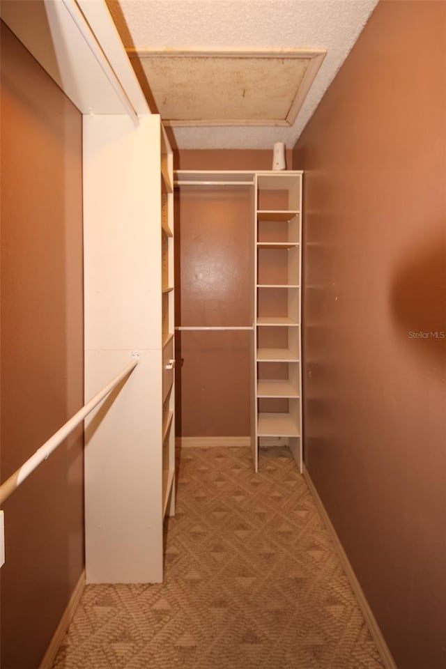 spacious closet with carpet