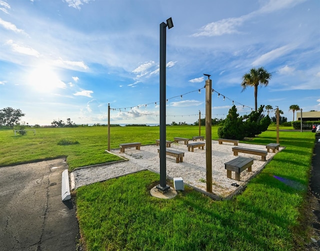 view of property's community with a yard