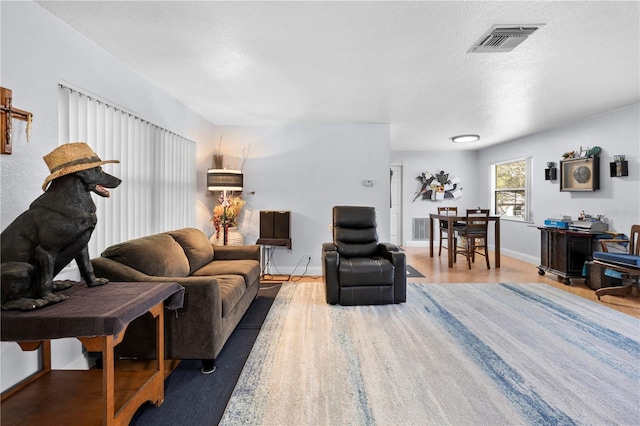 living room featuring hardwood / wood-style floors and a textured ceiling