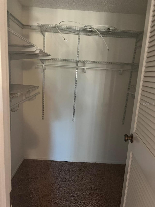 spacious closet with carpet flooring