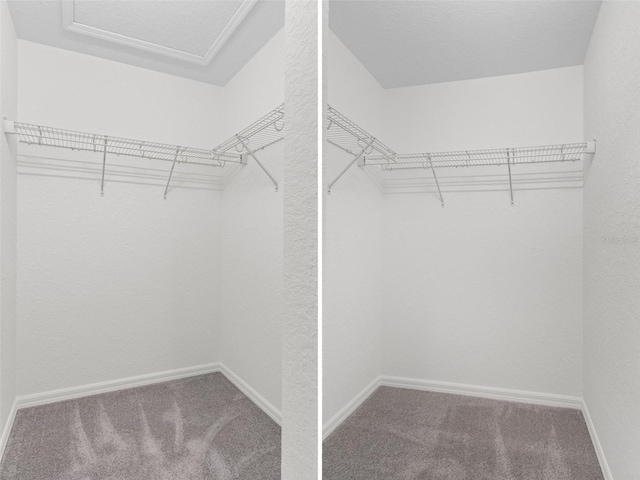 walk in closet with carpet