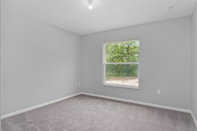 unfurnished room with carpet