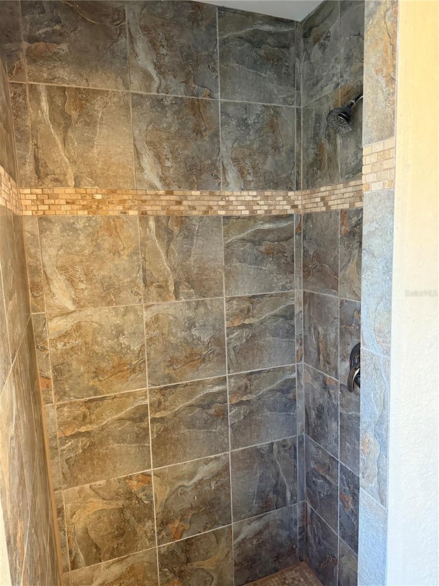 room details with tiled shower