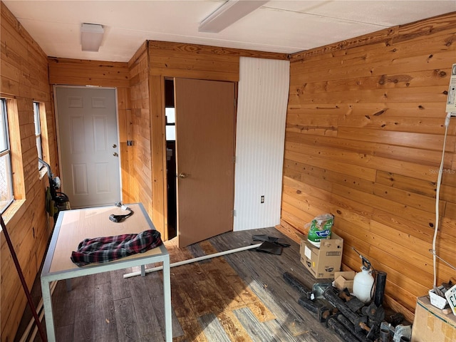 interior space featuring hardwood / wood-style floors and wood walls