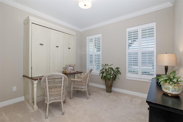 carpeted office featuring crown molding