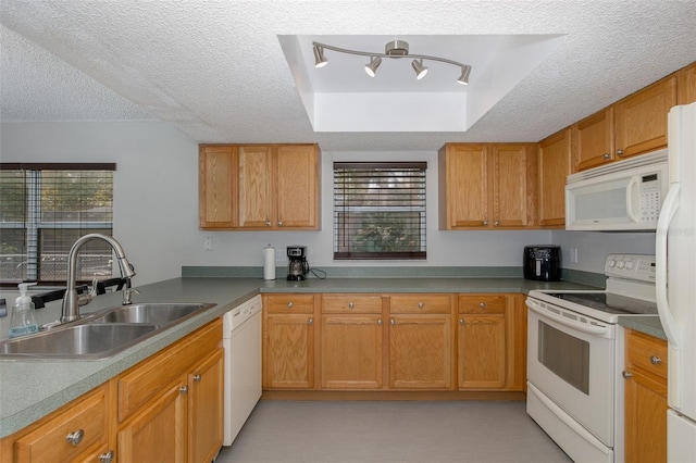 kitchen with a wealth of natural light, sink, white appliances, a tray ceiling, and a textured ceiling