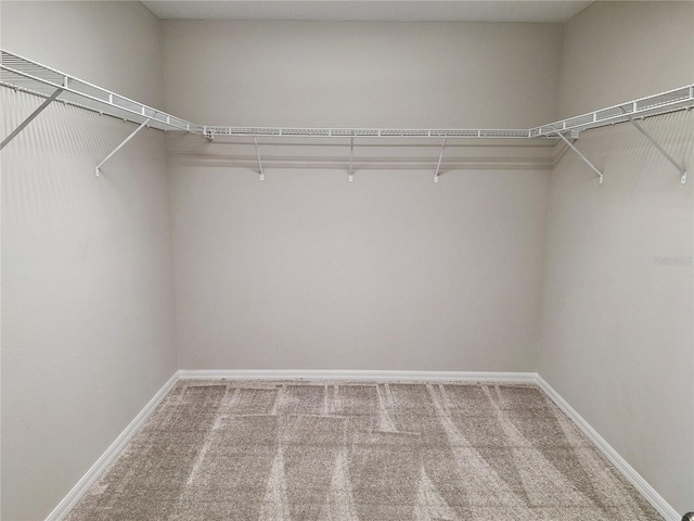 walk in closet featuring carpet floors